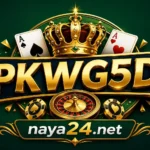 PKWG5D Game