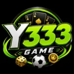 Y333 Game