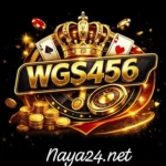 WGS456 Game
