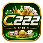 C222 Game