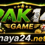 Pak14 Game